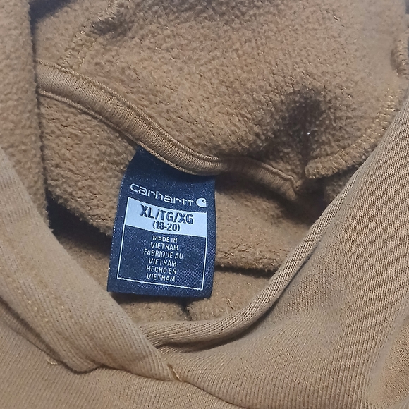 Carhartt Youth,unisex Brown Hoodie - Picture 6 of 6